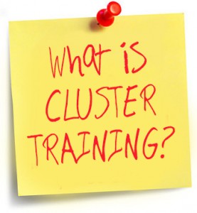 What is cluster training