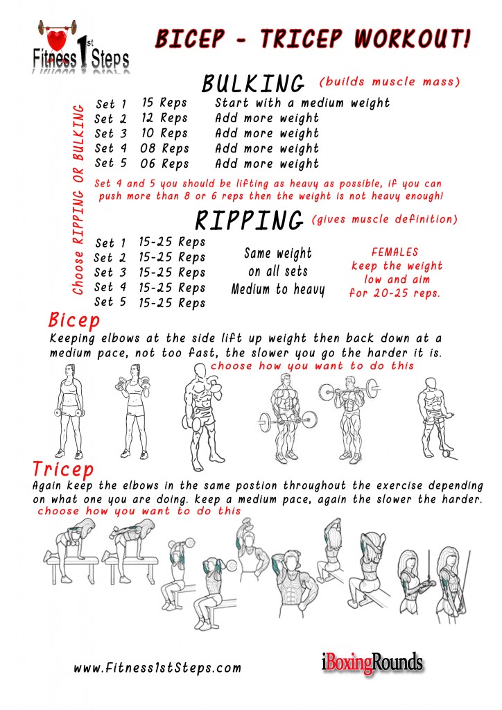 Fitness1stSteps Tricep & Bicep workout sheet - Fitness 1st Steps